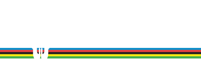 gallomoto-manutenzione-sospensioni-bici-mtb-logo-esteso